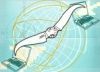 Projektmanagement-Glossar Projektmanagement-Glossar