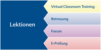 Fernlernkonzept