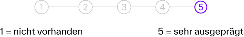 Bewertungsskala von 1 bis 5, wobei 1 „nicht vorhanden“ und 5 „sehr ausgeprägt“ bedeutet; die 5 ist hervorgehoben.