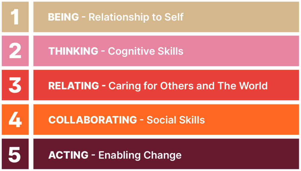 Inner Development Goals (IDG)