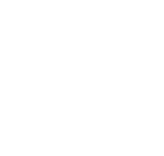 Service und Projektmanagement