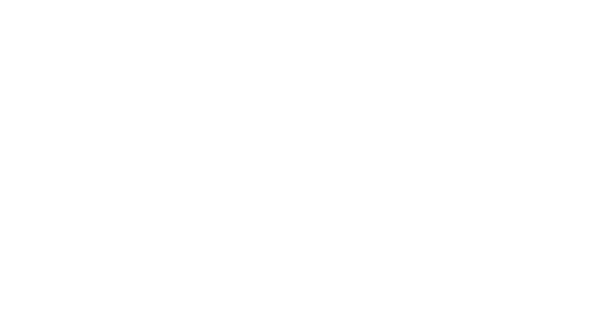Service und Projektmanagement